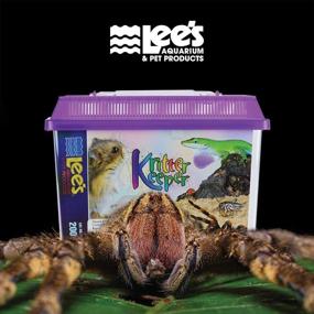 img 3 attached to 🐾 Lee's Kritter Keeper: Small Rectangle with Lid - Assorted Colors | Compact & Convenient