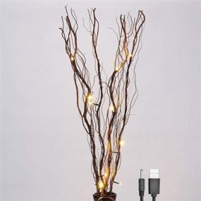 img 3 attached to 🌿 36-Inch 16-LED Natural Willow Twig Light Share - Upgraded Branch for Home Decoration with USB Plug-in and Battery Power