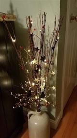 img 1 attached to 🌿 36-Inch 16-LED Natural Willow Twig Light Share - Upgraded Branch for Home Decoration with USB Plug-in and Battery Power