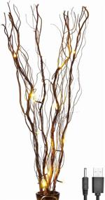 img 4 attached to 🌿 36-Inch 16-LED Natural Willow Twig Light Share - Upgraded Branch for Home Decoration with USB Plug-in and Battery Power