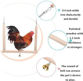 img 3 attached to 🐓 Lanermoon Chicken Swing: Wooden Colorful Chicken Toy for Hens, Bird & Parrot Training