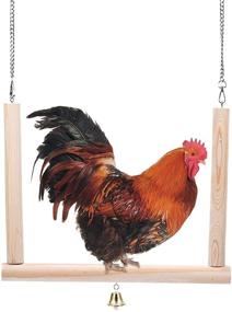 img 4 attached to 🐓 Lanermoon Chicken Swing: Wooden Colorful Chicken Toy for Hens, Bird & Parrot Training