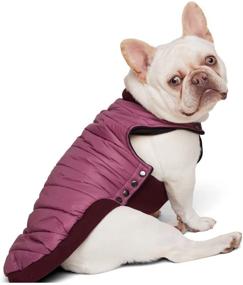 img 3 attached to 🐾 ESPAWDA Пуховый зимний осенний комфортный плащ для собак Aspen Stretch Comfort Padded Waterproof с карабином для поводка - идеально подходит для маленьких, средних и больших собак.