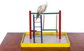 img 1 attached to Enhance Your Cockatiel's Joyful Playtime with 🦜 Prevue Hendryx Pet Products Cockatiel Court Playground 22530