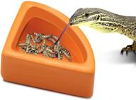 ceramic reptile feeder corner designing logo