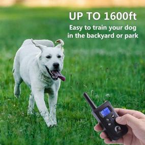 img 1 attached to Paipaitek Waterproof Humane Vibration Dog Training Collar with Remote, Rechargeable & Up to 1600Ft Range - No Shock or Prongs