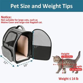 img 3 attached to 🐱 JOYO Expandable Cat Carrier Backpack with Side Door - Pet Carrier Backpack for Small Dogs, Cats, and Bunny - Safety Clip, Breathable Mesh - Ideal for Hiking, Travel, Camping - Holds up to 14lbs