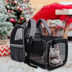 img 1 attached to 🐱 JOYO Expandable Cat Carrier Backpack with Side Door - Pet Carrier Backpack for Small Dogs, Cats, and Bunny - Safety Clip, Breathable Mesh - Ideal for Hiking, Travel, Camping - Holds up to 14lbs
