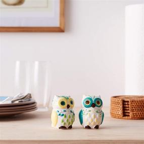 img 1 attached to 🦉 Floral Owl Salt & Pepper Shakers: Charming Hand-Painted Ceramic by Boston Warehouse