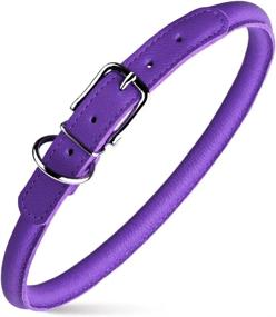 img 4 attached to Dogline 2 Inch Padded Leather 25 Inch