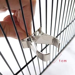 img 3 attached to 🦜 Balacoo Birds Food Holders: Stainless Steel Clips for Parrot Fruit and Vegetable Feeding in Bird Cages - Set of 3 Accessories Ideal for Budgie, Parakeet, Cockatiel, and Conure