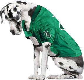 img 2 attached to 🐾 Littlearth NFL Stretch Pet Jersey: The Perfect Fit for Sporty Dogs and Cats!