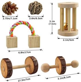 img 2 attached to 🐹 KATUMO Hamster Chew Toys – 12 PCS Natural Wooden Pine for Guinea Pigs, Rats, Chinchillas, Rabbits, Gerbils – Small Pet Accessories for Chewing, Playing, Exercise, and Teeth Care