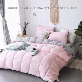 img 2 attached to 🛏️ KASENTEX Reversible All Season Down Alternative Quilted Comforter Set with Sham(s) - Ultra Soft Hypoallergenic Duvet Insert, Queen Size, Pink Potpourri/Quartz Silver - Machine Washable