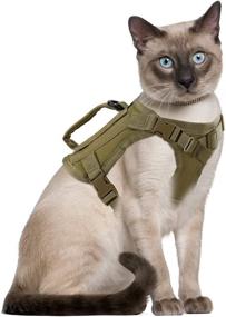 img 4 attached to 🐱 Tactical Cat Harness: Adjustable, Escape Proof, and Breathable for Walking Large Cats & Small Dogs - Easy Control Pet Vest with Handle