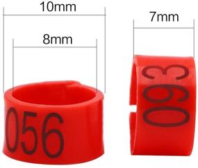 img 1 attached to 🦆 Colorful iherdsman 001-100 Leg Bands for Birds & Ducks - 8mm Size, Numbered & Clip Design