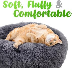 img 3 attached to SUGAR PET SHOP Marshmallow Cat Bed: The Ultimate Calming Bed for Indoor Cats, Small to Large - Fluffy, Round, Washable, Orthopedic Anti-Anxiety Cushion