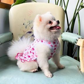 img 3 attached to 🐾 Cute and Comfy LEDINIU Adorable Paws Pet Dog Dresses & Shirts – Perfect Cotton Outfits for Small Dogs