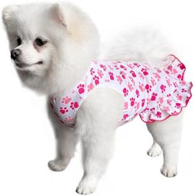 img 2 attached to 🐾 Cute and Comfy LEDINIU Adorable Paws Pet Dog Dresses & Shirts – Perfect Cotton Outfits for Small Dogs