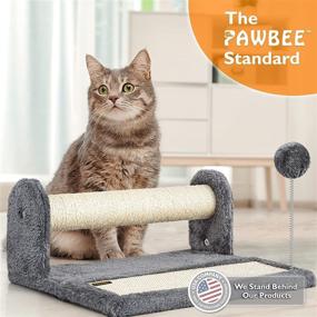 img 2 attached to Pawbee Cat Scratching Post & Scratching Pad: Keep your Kittens and Cats Entertained while Protecting your Furniture!