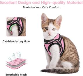 img 2 attached to 🐈 Dooradar Cat Harness and Leash: Escape-Proof Adjustable Step-In Vest for Walking & Training, Reflective Strip & Breathable Air Mesh Ideal for Small-Medium Cats