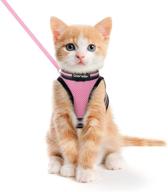 🐈 dooradar cat harness and leash: escape-proof adjustable step-in vest for walking & training, reflective strip & breathable air mesh ideal for small-medium cats logo