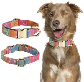 img 3 attached to 🐶✨ Anyifan Personalized Metal Buckle Dog Collar with Adjustable Boy and Girl Dog Phone Number