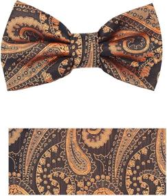 img 1 attached to Oliver George Bowtie Hanky Set Paisley Rust