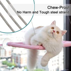 img 1 attached to 🐾 VOOPET Cat Window Perch: Premium Space Saving Hammock for Large Cats - Safe, Stable, and Comfortable Indoor Resting Seat