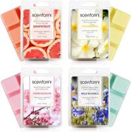 scentorini soy wax melts - grapefruit, cherry blossoms, wild bluebell, plumeria scented wax cubes for wax warmer, 4 x 2.5 oz logo