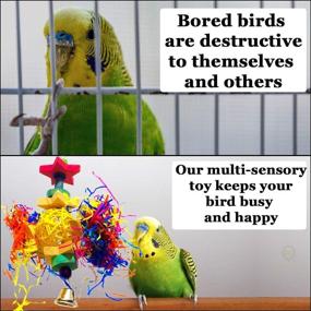 img 1 attached to 🦜 Vibrant SunGrow Parakeet Toy: Engaging Rattan, Wood and Shredded Paper Playtoy for Small & Medium Parrots, Cockatiels, Lovebirds & Finches