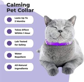 img 3 attached to PetPlus Cat Calming Collar - Reduce Anxiety and Aggression in Cats, Pheromone-based Cat Anxiety Relief, Ideal Calming Product for Kittens, 2-Month Protection, 1 Collar