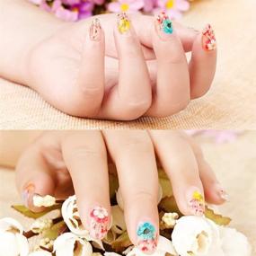 img 2 attached to 🌺 Vibrant 12 Colors Dried Flowers for Nails - Natural Real Dry Flowers for Stunning Nail Designs, Flower Nail Decals, Nail Art Stickers with 60 Pc Lovely Five Petal Flowers