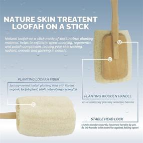 img 1 attached to 🛁 Bleu Bath 2-Pack: Organic Luffa Exfoliating Loofah Back Brush with Long Wooden Handle - Ideal for Sensitive Skin, Men & Women