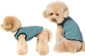 img 3 attached to 👕 DAN Comfort Cotton Shirt for Dogs - Breathable Puppy Clothes - Striped Dog Shirt with 95% Cotton and 5% Spandex - Comfortable Pet T-Shirt - Soft Dog Shirt for Small, Medium, and Large Dogs - Striped Pet Tee - Stylish Striped Vest for Pets