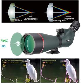 img 2 attached to 🔭 SVBONY SV406P Spotting Scopes - HD Dual Focus, 20-60x80mm, ED, Long Range, High Power, IPX7 Waterproof - Ideal for Hunting, Target Shooting, Bird Watching, Stargazing, Wildlife Viewing, Archery