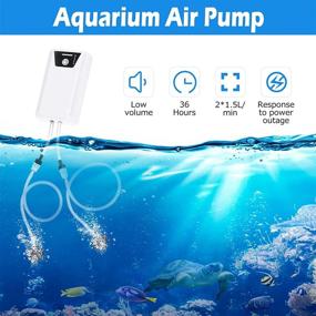 img 1 attached to 🐠 Enhance Aquarium Aeration with Petbank Portable Fish Tank Air Pump - USB Powered with 2600mAh Battery, Silent Bubbler for 1.5-2L/min Airflow