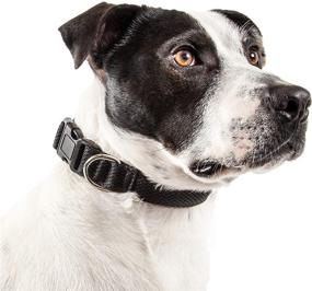 img 3 attached to 🐶 Pet Life Aero Mesh 360 Degree Dual Sided Comfortable and Breathable Adjustable Mesh Dog Collar: The Ultimate Choice for Your Pet's Comfort and Safety