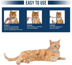 img 1 attached to 🐱 Flea and Tick Collar for Cats - 8-Month Long-lasting Tick and Flea Control, Adjustable Design for All Sizes, Safe & Allergy Free, Waterproof, Includes Flea Comb - 2 Pack