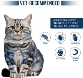 img 3 attached to 🐱 Flea and Tick Collar for Cats - 8-Month Long-lasting Tick and Flea Control, Adjustable Design for All Sizes, Safe & Allergy Free, Waterproof, Includes Flea Comb - 2 Pack