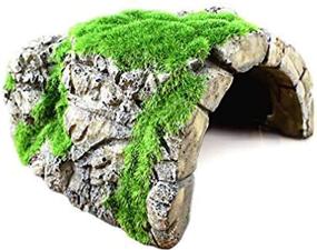 img 4 attached to SunGrow Resin Betta Rock Cave with Artificial Moss, Ideal for Crayfish, Shrimps, Fish, Aquatic Frogs - 5.5” x 4.7” x 3.1”, 1 Pc per Pack