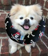 puppy bumpers jolly roger - 10-13 inches - 100% cotton stuffed safety fence collar to keep your pet secure on the right side of the fence - made in usa logo