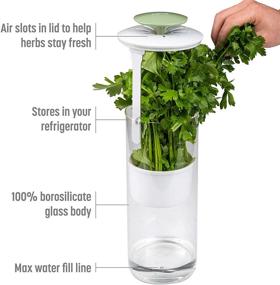 img 3 attached to 🌿 Optimal Breathable Airflow Herb Keeper Preserver for Maximum Freshness with Water Line Control, Refrigerator Storage