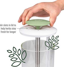 img 1 attached to 🌿 Optimal Breathable Airflow Herb Keeper Preserver for Maximum Freshness with Water Line Control, Refrigerator Storage