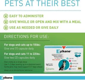 img 3 attached to 🐶 Препараты Vetoquinol Zylkene для успокоения средних собак (23-65 фунтов) - облегчает тревогу у собак и кошек, не вызывает сонливости, 225 мг.