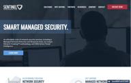img 1 attached to Sentinel Managed Network Security Services review by Allen Hart