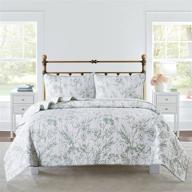 slpr morning meadow bedding quilt set - queen with 2 🌿 shams: refreshing green and white botanical quilted bedspread for a serene ambiance logo