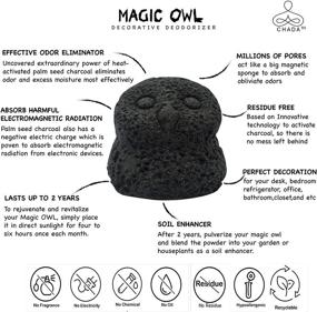 img 4 attached to 🦉 Chada Magic Owl: Natural Activated Charcoal Decorative Deodorizer for Fresh, Odor-Free Rooms - Smoke Absorbent, Chemical-Free, 270g Size