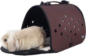 img 4 attached to 🐾 Удобный и надежный переноска для животных Petsfit 16 X 9 X 9 дюймов для маленьких домашних животных: кошек, хорьков, кроликов – мягкий сопровождающий в путешествиях