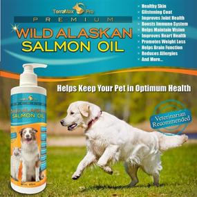 img 2 attached to TerraMax Pro Premium Wild Alaskan Salmon Oil: All-Natural Omega-3 Supplement for Dogs and Cats with Over 15 Omega's EPA - DHA Fatty Acids, Natural Astaxanthin, and Vitamin D!